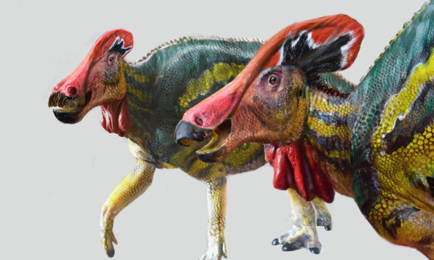 Nuevo dinosaurio encontrado en México fue muy comunicativo