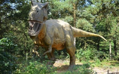Estudio sugiere que el Tyrannosaurus Rex es en realidad 3 especies diferentes.