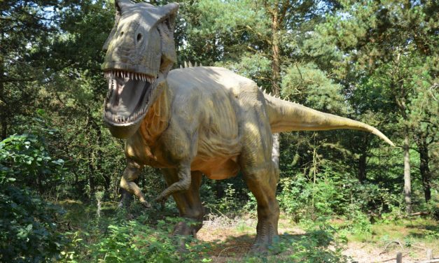 Estudio sugiere que el Tyrannosaurus Rex es en realidad 3 especies diferentes.