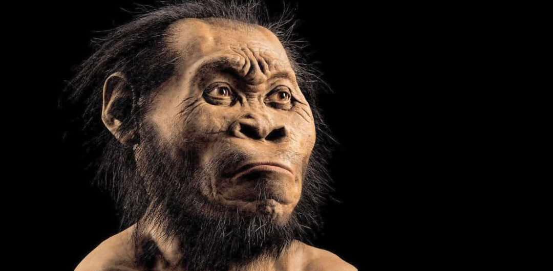 Homo Naledi pudo usar fuego y navegar hace 230,000 años