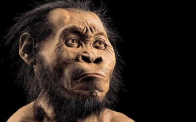 Homo Naledi pudo usar fuego y navegar hace 230,000 años